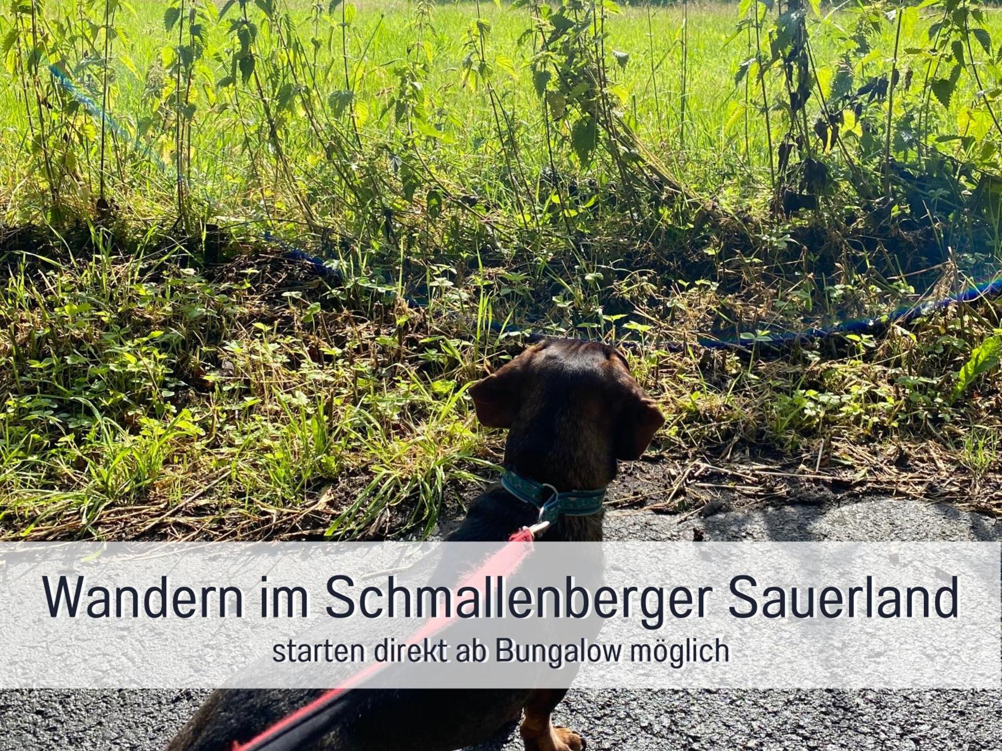 Ferienhaus Dackelglueck Schmallenberg Exteriör bild